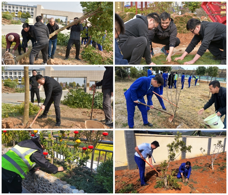 尊龙凯时人生就是搏·(中国区)官方网站